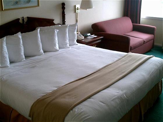 Econo Lodge Inn & Suites Triadelphia - Wheeling Rum bild